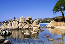 中国足球网比分直播好用吗？怎么看最便捷？